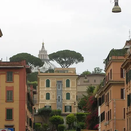 Vatican White Domus